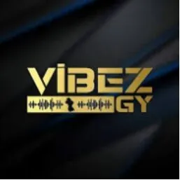 Vibez gy logo